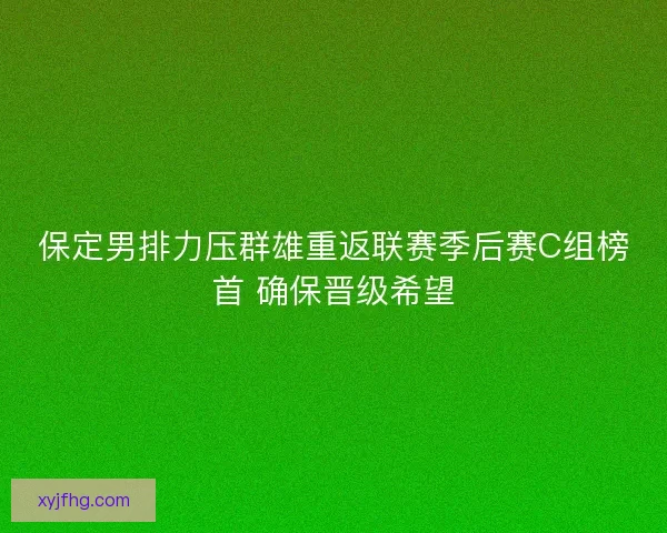 保定男排力压群雄重返联赛季后赛C组榜首 确保晋级希望